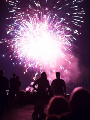 Party watching Fireworks