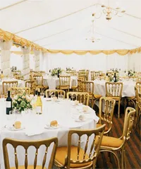 Gold backed chairs in a marquee setting